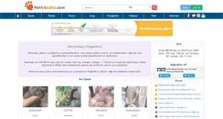 Desktop Screenshot of petarkadas.com