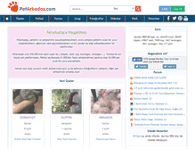 Tablet Screenshot of petarkadas.com